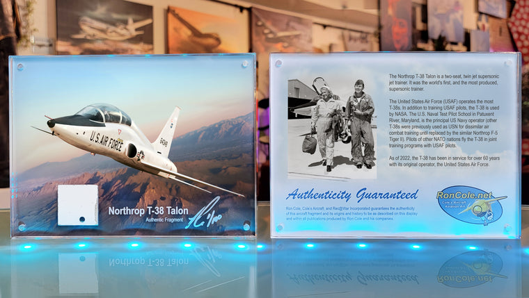 Northrop T-38 Talon Skin Fragment Relic 6x8-inch Acrylic Desk Display
