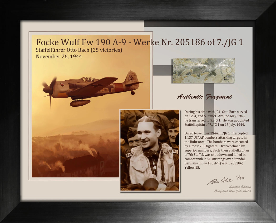 Luftwaffe Fw 190 Ace Otto Bach Relic Display
