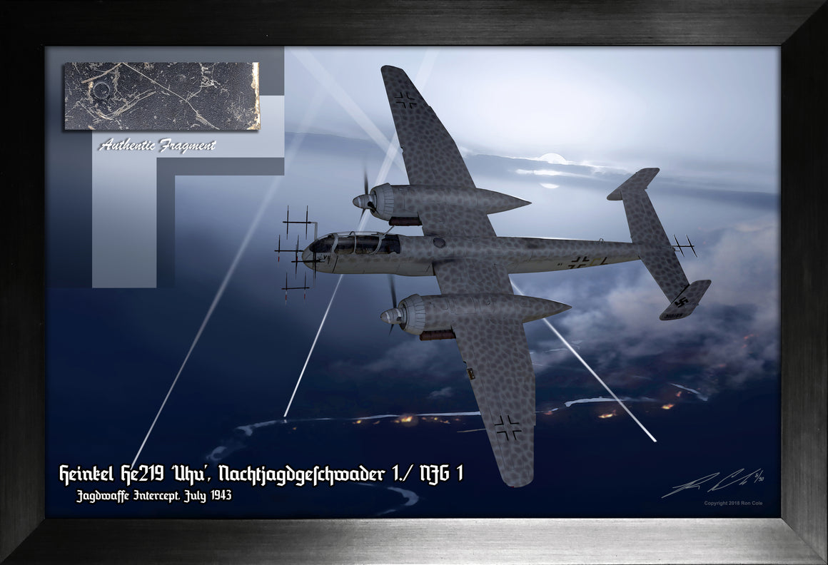Luftwaffe Night Fighter Heinkel He 219 'Uhu' Relic Display by Ron Cole